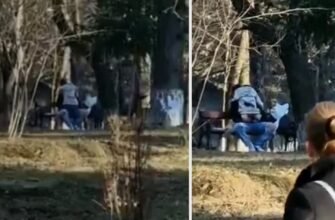 VIDEO// Doi tineri și-au început bine anul! Au fost filmați în timp ce întrețineau relații intime pe o bancă din parc