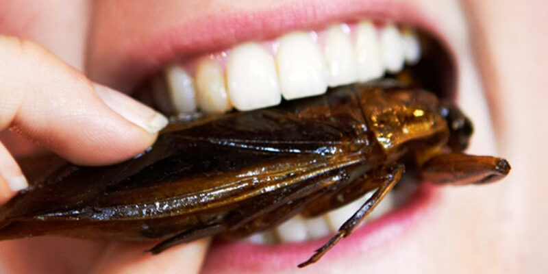 201953 keselek makanan 64226000