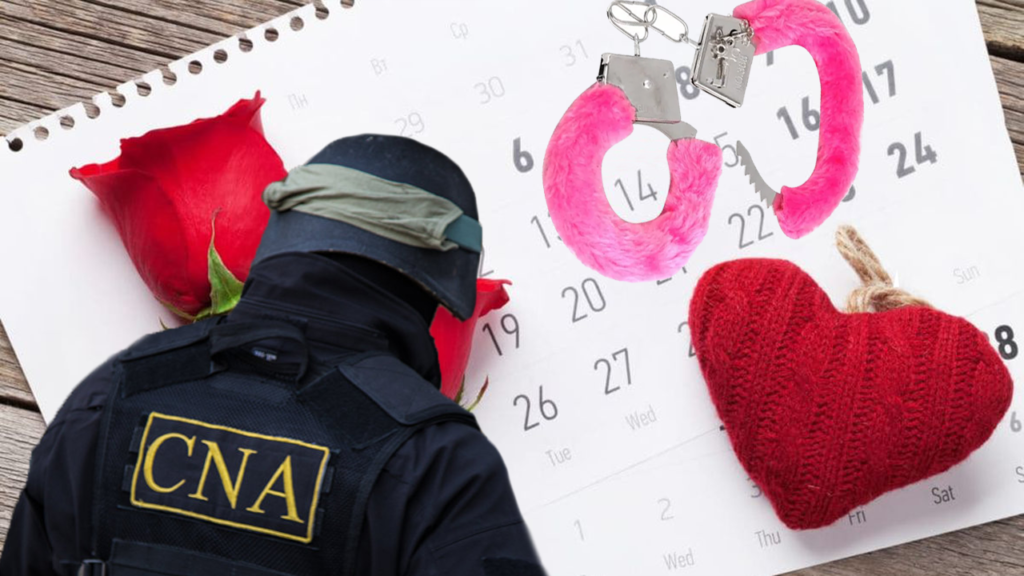 cna politist perchezitii valentines day 14 februarie mita euro banuit