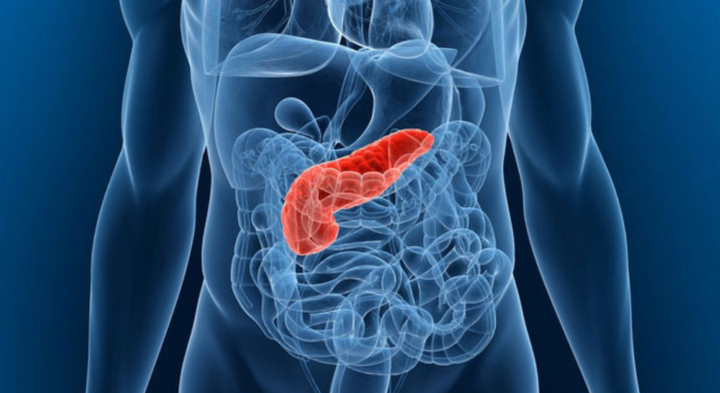 pancreas inflamat simptome