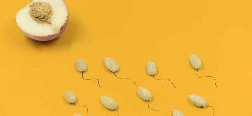 sperm cells swimming towards an egg cell