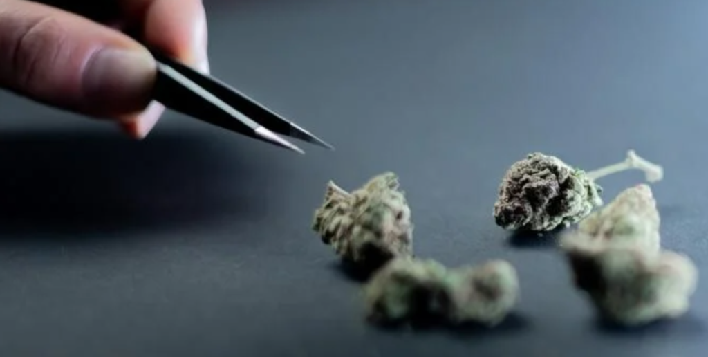 Ce se întâmplă dacă stai în cameră cu cineva care fumează substanțe psihoactive 1 screenshot 2