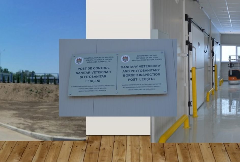 Agenția Națională pentru Siguranța Alimentelor va aplica controale la frontieră în baza analizei riscurilor