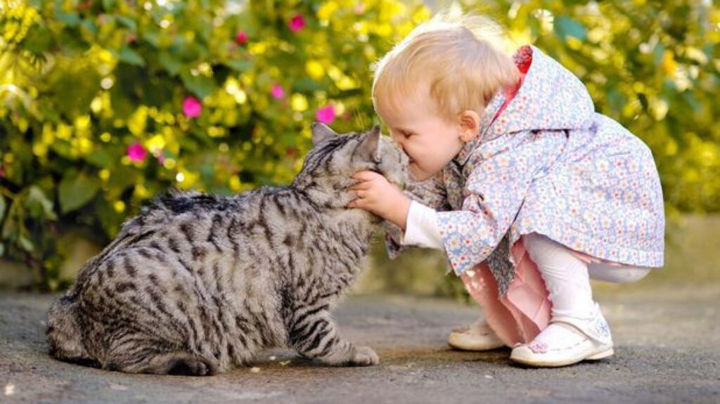 animalele de companie ajuta la prevenirea alergiilor alimentare la copii