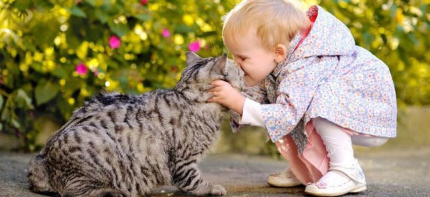 animalele de companie ajuta la prevenirea alergiilor alimentare la copii