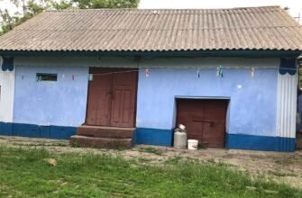 Un bărbat și-a omorât fratele pentru a pune mâna pe casa părintească lăsată moștenire