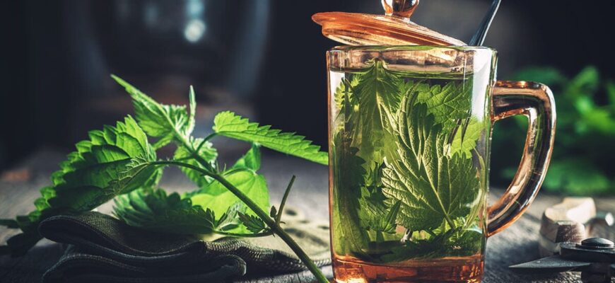 ceai urzica proprietati si beneficii desktop