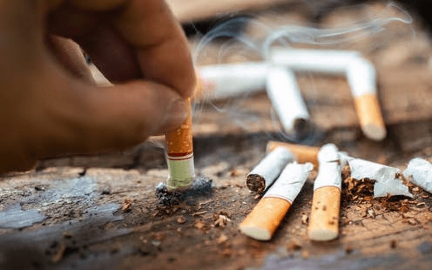Informarea copiilor despre fumat este una din sarcinile principale ale părinţilor