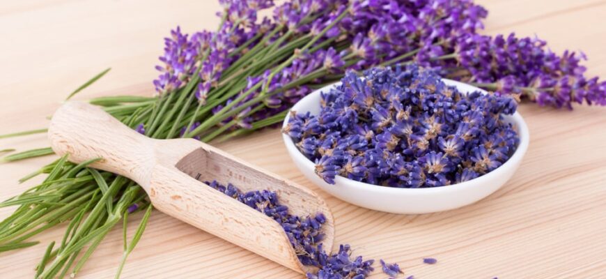 lavanda beneficii