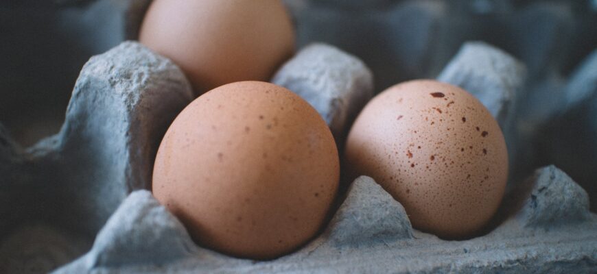 selective focus photo of three eggs on tray
