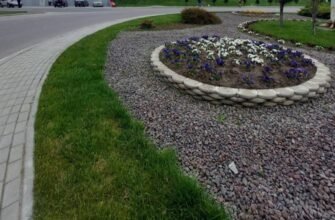Explozie de culoare și frumusețe, la Orhei. Echipa Partidului „ȘOR” a plantat mii de viole și trandafiri
