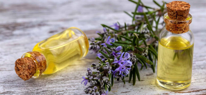 uleiul de rozmarin promoveaza cresterea firelor de par