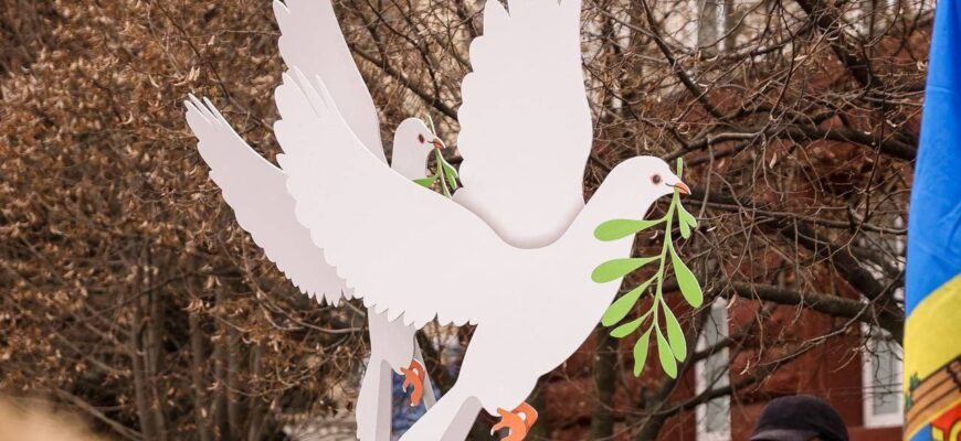 336377133 199281036190863 3657502226443467905 n