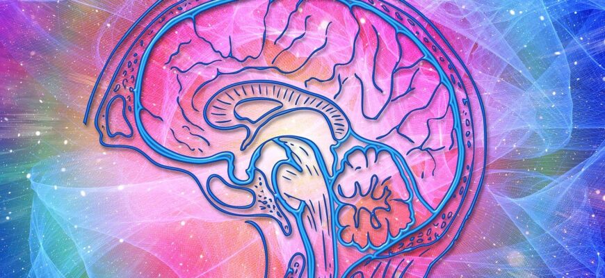 activeaza ti ritmul cardiac pentru a stimula functiile creier