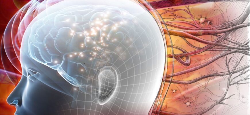 antreneaza ti memoria