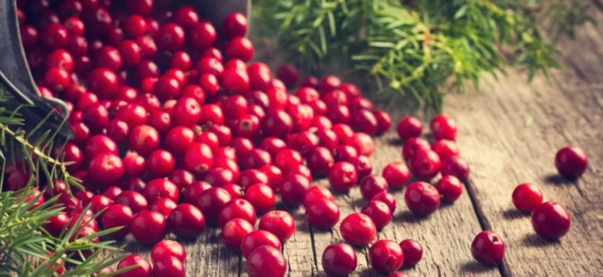 boabe de merisor de miere