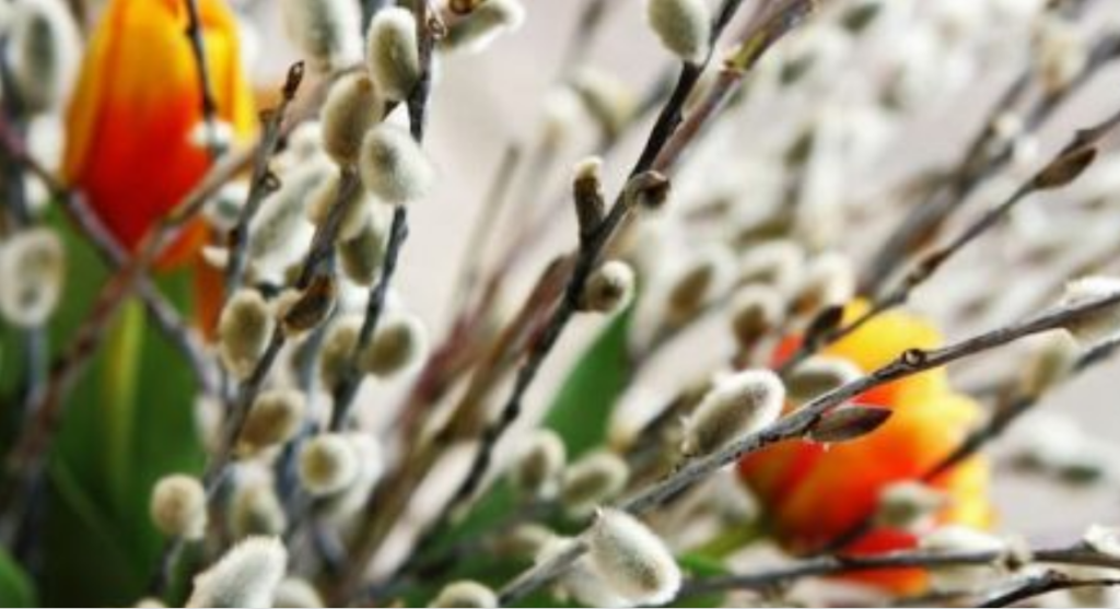 duminica floriilor obiceiuri