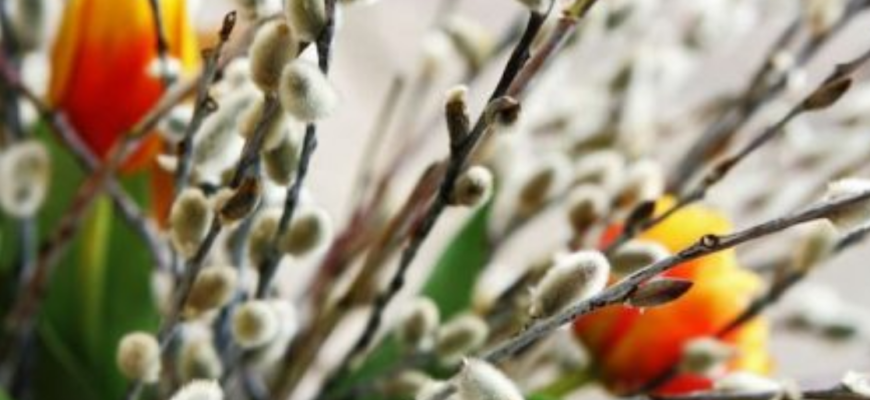 duminica floriilor obiceiuri