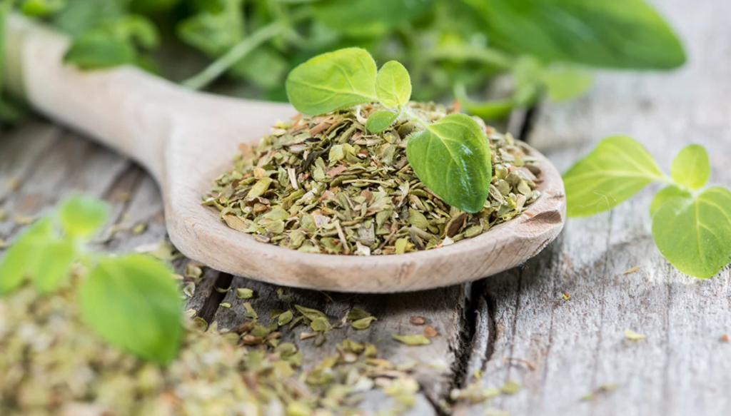 frunzele de oregano