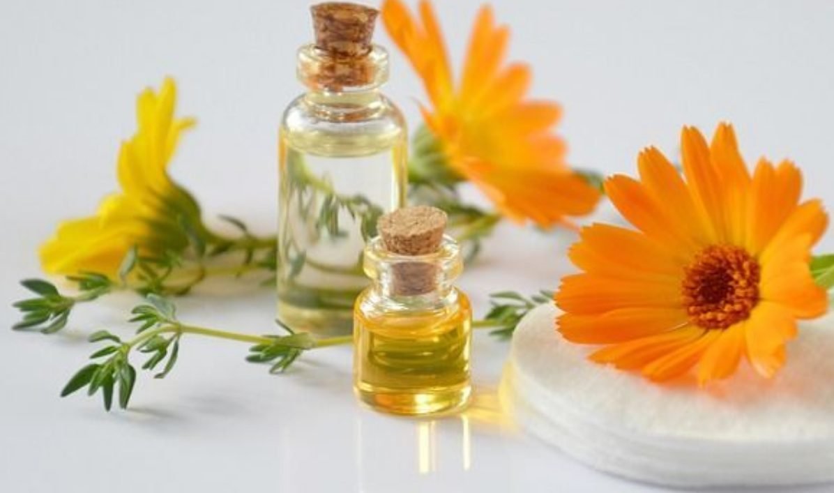 Muşcăturile şi înţepăturile de insecte pot provoca  reacţii alergice! Iată ce puteţi face pentru a le preveni