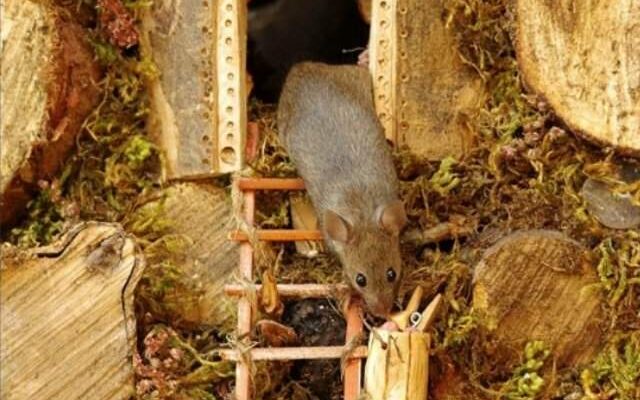 p 321290 640x420 00 85