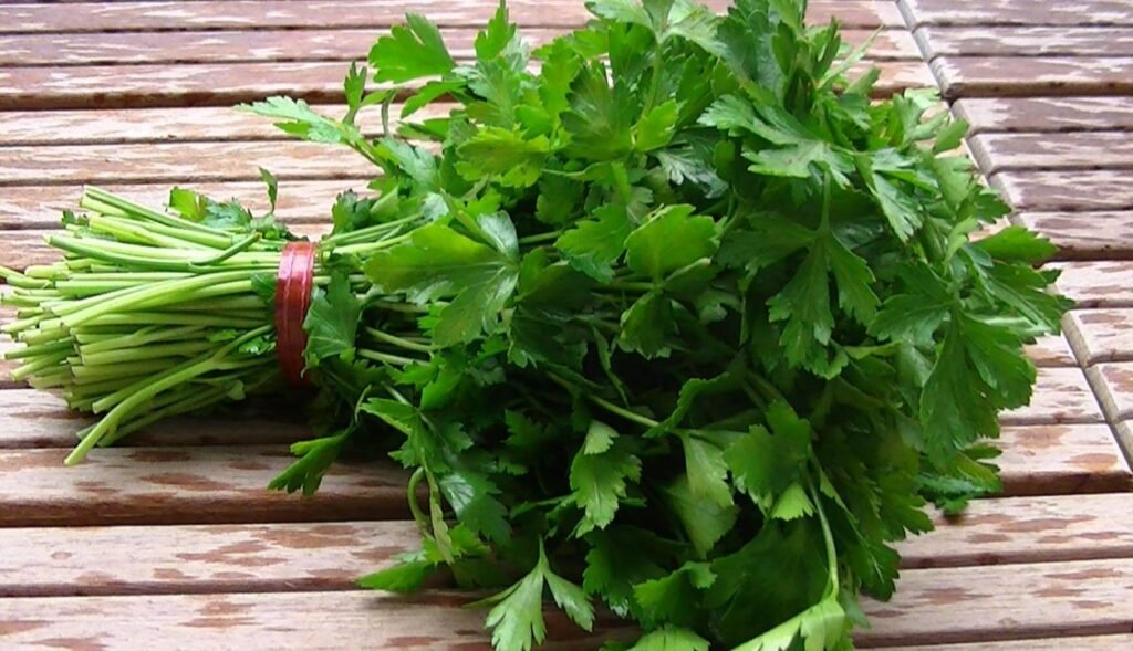 Planta care aduce beneficii in sfera hormonală și nu numai. Este o plantă utilizată in mod regulat de către gospodine