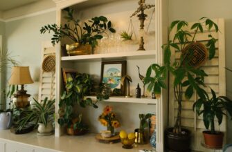green leaf plants on white wooden shelf