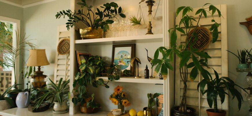 green leaf plants on white wooden shelf