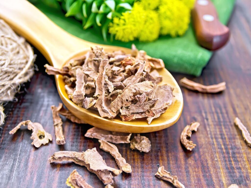 plante medicinale rodiola