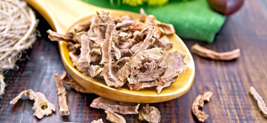 plante medicinale rodiola