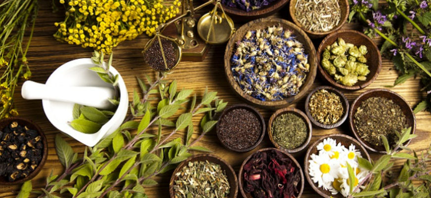 plante pentru restabilirea functiilor normale ale ficatului