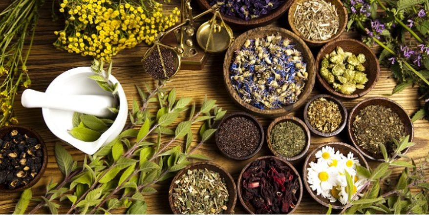10 plante pentru restabilirea funcţiilor normale ale ficatului. Terapii naturiste pentru detoxifierea hepatică