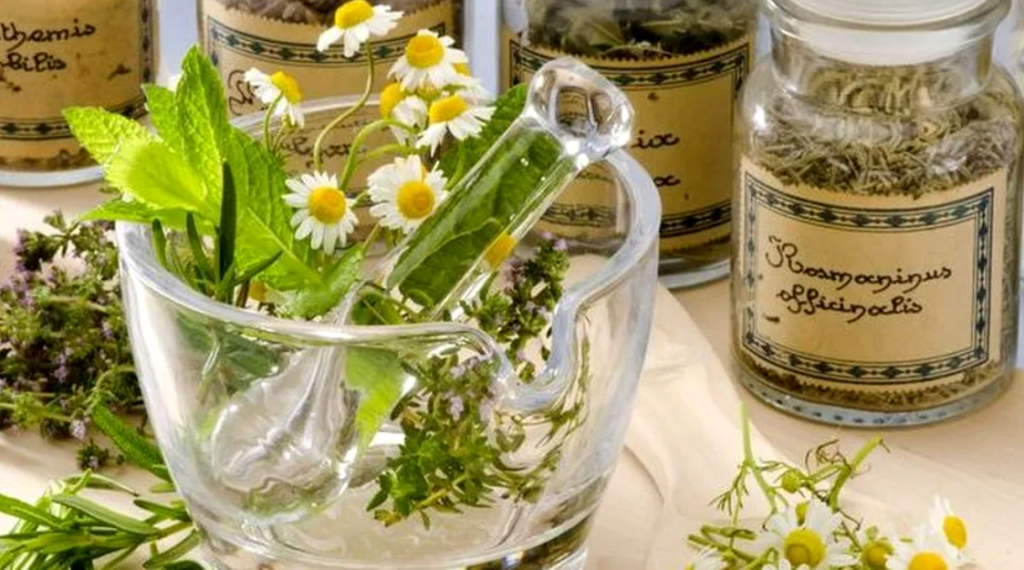 Plantele care fac minuni pentru creier. Rețeta celui mai bun tonic cerebral 1 plantele care fac minuni pentru creier