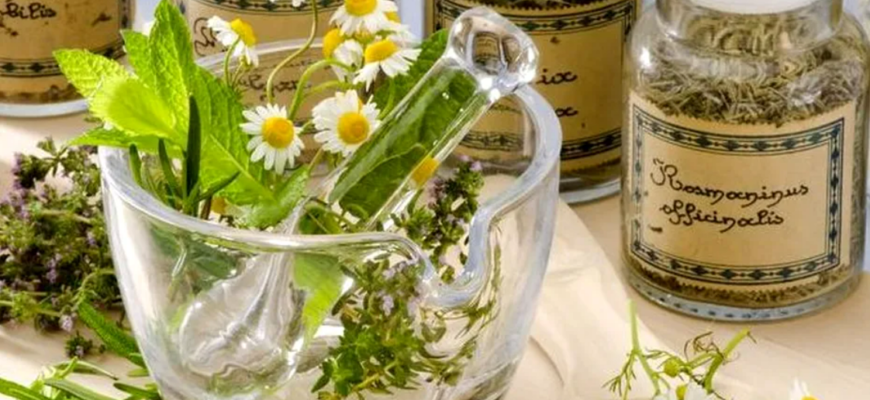 plantele care fac minuni pentru creier