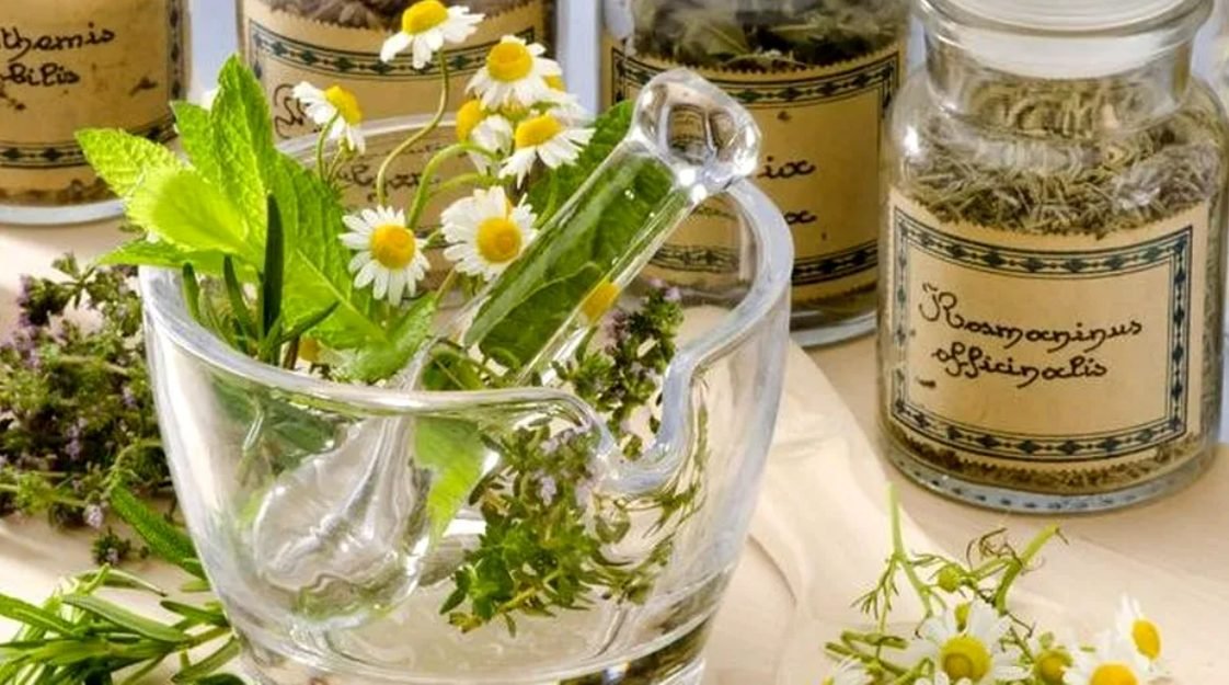 Plantele care fac minuni pentru creier. Rețeta celui mai bun tonic cerebral