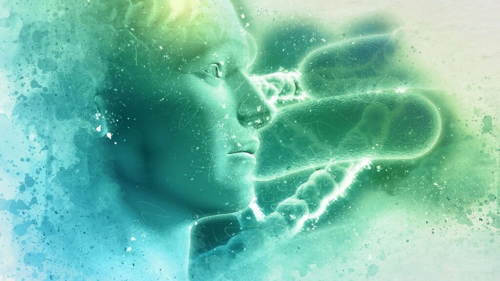 preventia in boala alzheimer si dementa