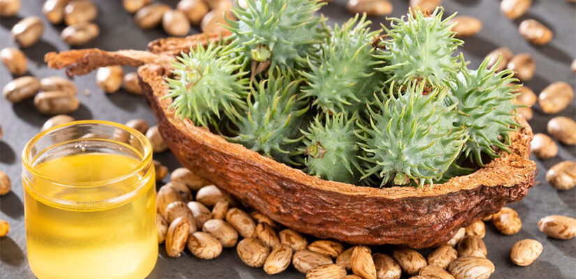 uleiul de ricin si efectele sale