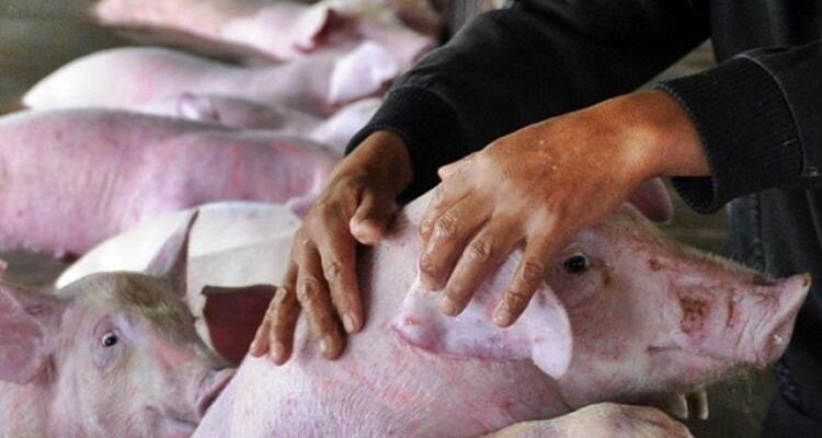 517fcec107ed220355d25f2d10221416