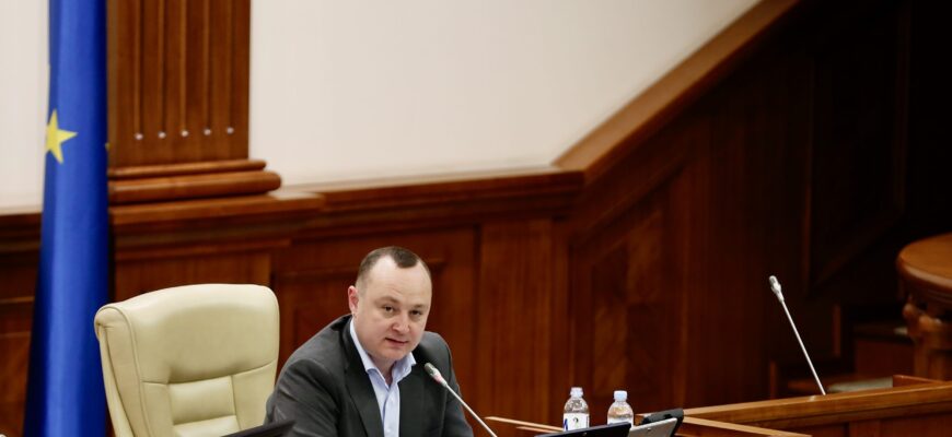 batryncha 1 scaled 1