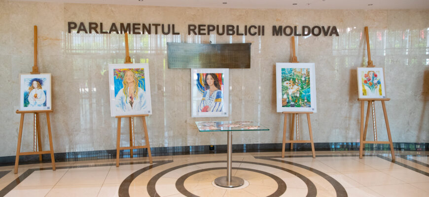 52975343377 1e7b41b2fc k