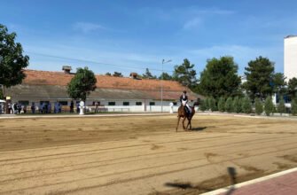 Campionatul de Hipism Cupa ”Ștefan cel Mare” se desfășoară în premieră la Chișinău, sub Egida Ministerului Educației și Cercetării