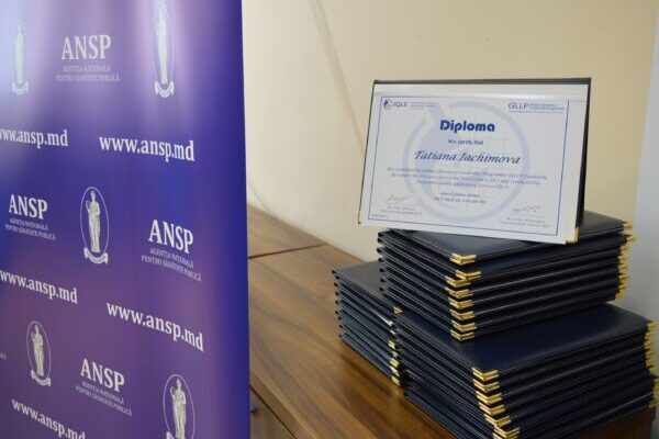 dsc 0961 1 600x413 1