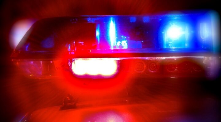 police lights 5 via ccjpg dc47d1e621df25af 37526200