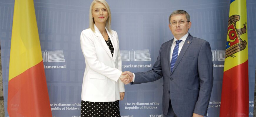 53136540363 b95c9337b5 k