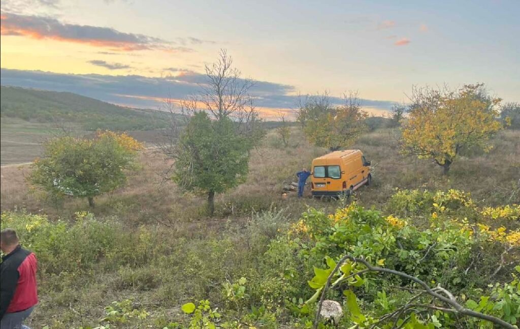 Doi bărbați au fost prinși de inspectorii de mediu în timp ce tăiau arbori ilegal 1 Doi bărbați au fost prinși de inspectorii de mediu în timp ce tăiau arbori ilegal