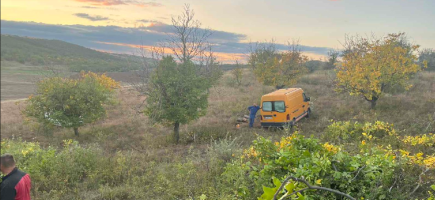 au fost prinsi de inspectorii de mediu in timp ce taiau arbori ilegal
