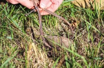 VIDEO// O bombă de aruncător, calibru 50 mm, a fost depistată de către localnici în timpul lucrărilor agricole