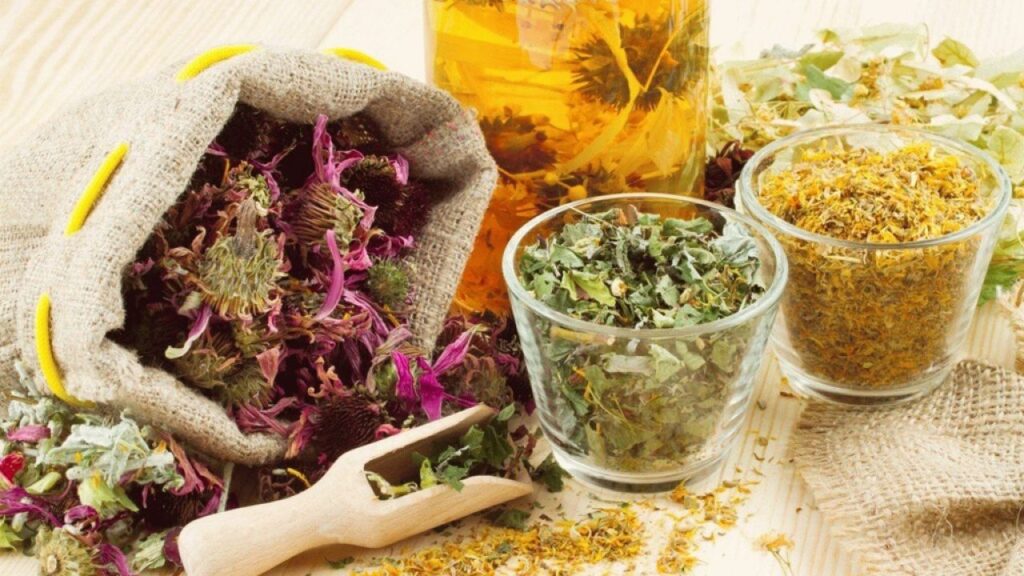 Schimbări necesare în alimentație când ai bilă leneșă. Ceaiuri din plante care pot fi de ajutor 1 ceaiuri benefice pentru a trata bila lenesa