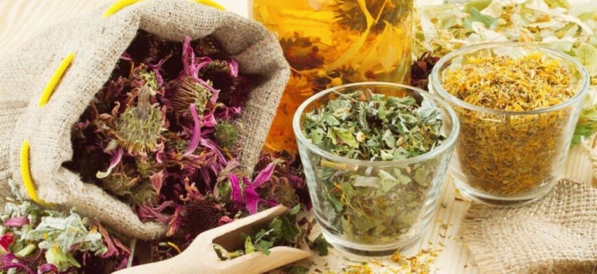 ceaiuri benefice pentru a trata bila lenesa