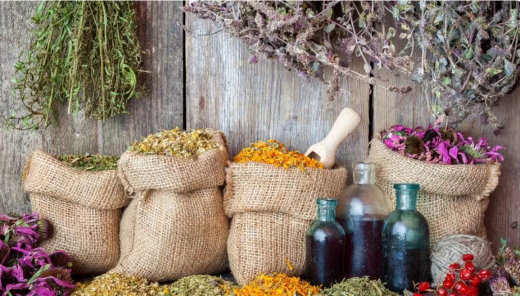 condimente si plante medicinale